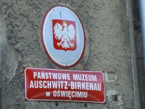 Cedule