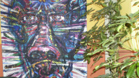 ETNO_1