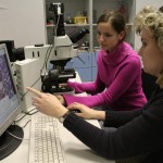 biomedicinske-inzenyrstvi