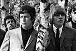 the-yardbirds-290x100