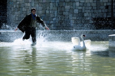 Zdroj: Asociace českých filmových klubů