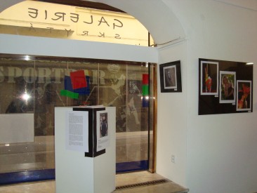 Galerie Skryt&aacute;