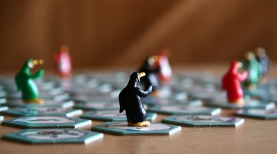 Hej! To je moje ryba! - rozestavení tučňáků, Foto: Dušan Takáč, Topzine.cz