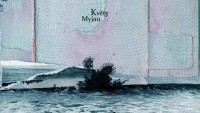 kvety-myjau