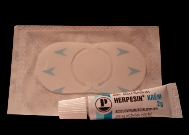 Foto: Vladimíra Pochylá, Topzine.cz