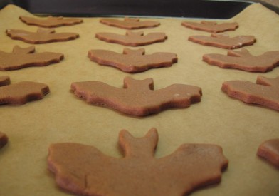 Foto: Eva Mácová, Topzine.cz