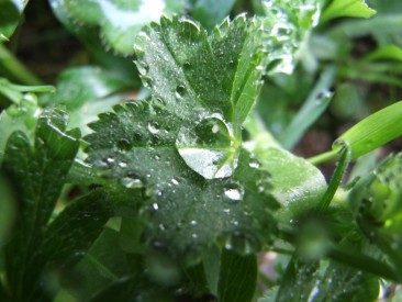 Ilustrační foto, Foto: Jana Samcová, Topzine.cz