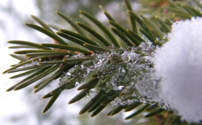 Ilustrační foto, Foto: Jana Samcová, Topzine.cz