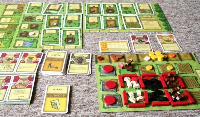 Agricola - ukončená hra, Foto: Dušan Takáč, Topzine.cz