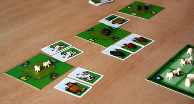 Černá ovce - rozehraná hra, Foto: Dušan Takáč