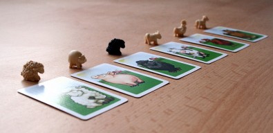 Černá ovce - zvířátka, Foto: Dušan Takáč