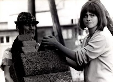 "Deset cihel je pan&aacute;k slivovice" takhle to funguje na venkově. Zdroj : CT24.cz