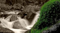 mech-potok-voda-priroda