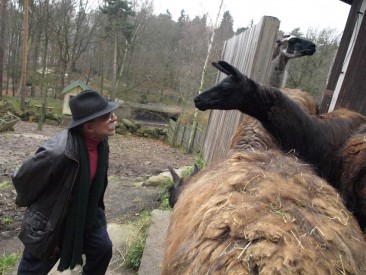 pan-uhlir-v-zoo Jaroslav Uhlíř s lamou Olinkou; Zdroj: ZOO Děčín
