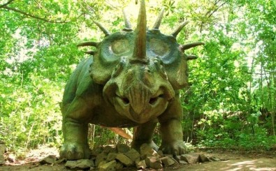 Ilustračn&iacute; foto, Foto: Eva M&uuml;llerov&aacute;, Topzine.cz