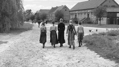 B&iacute;l&aacute; stuha Zdroj: Artcam