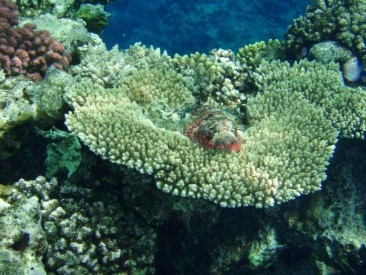 Ilustrační foto, Foto: Jana Samcová, Topzine.cz