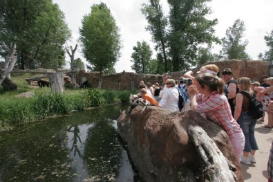 Vodní příkop, Foto: T. Mrhálková, ZOO Praha