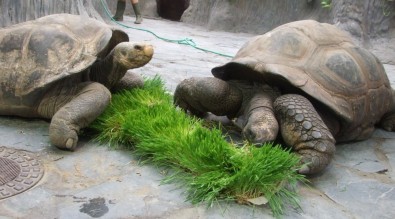 Oldřich a Božena, Foto: Jana Samcová, Topzine.cz