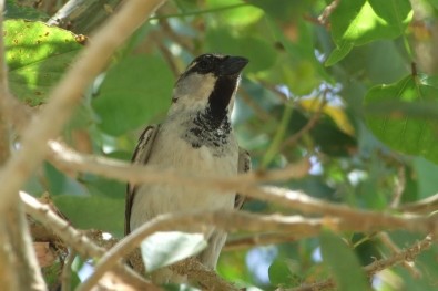 Foto: Jana Samcov&aacute;, Topzine.cz