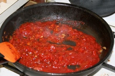 Dagmar Čechová, Topzine.cz