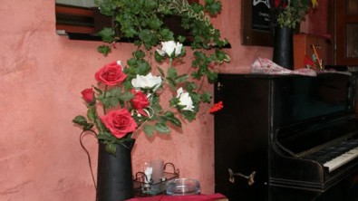 Venkovn&iacute; terasa, Zdroj: Tať&aacute;na Kročkov&aacute;