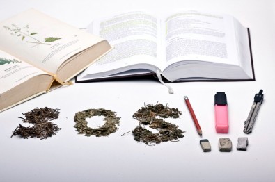 Foto: Martin Koubek,Topzine.cz