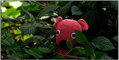 Kuky se vrac&iacute; Zdroj: www.sverak.cz