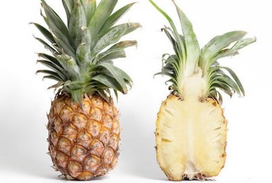Poraďme si jak na ananas! Ananas, Zdroj: Wikipedie