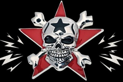 Flash disk Die Toten Hosen, Zdroj: dietotenhosen.de