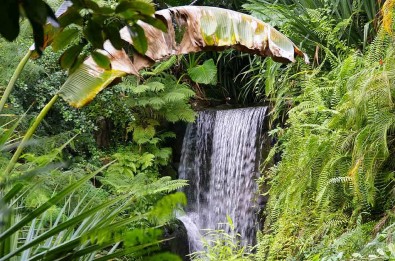 Madagaskar, Zdroj: wallpapers247.com