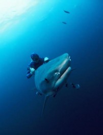 Interactions Zdroj:MFOF