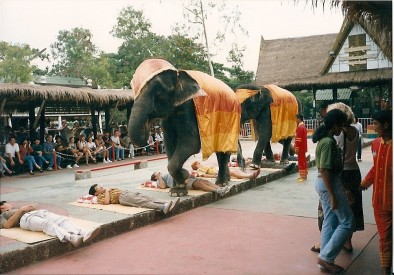 Foto: Michaela Dočkalová, Topzine.cz