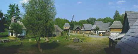 Řepora