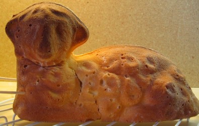 Nezapomeňte na rozinky do očí čumáčku...jako já..., Zdroj: Eva Mácová, Topzine.cz