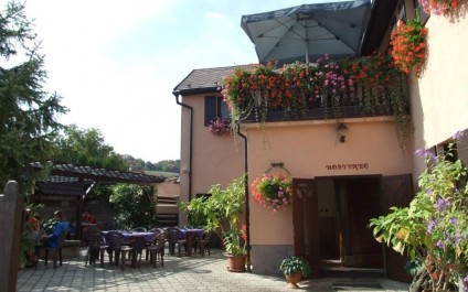 Hostinec Na Růžku - zahrádka, Foto: Jana Samcová, Topzine.cz