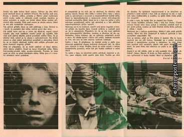 Plakát k filmu Kočár do Vídně Zdroj: terryhoponozky.cz