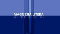 magnesia-litera