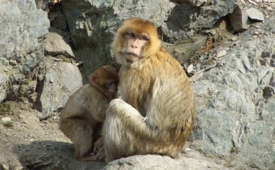 Zdroj: Jana Samcov&aacute;, Topzine.cz