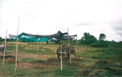 Sloní vesnice, Foto: Michaela Dočkalová, Topzine.cz