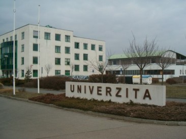 Foto: Alena Nov&aacute;, Topzine.cz