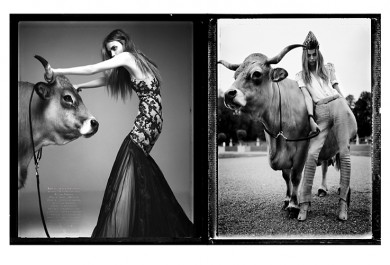 Zdroj: demarchelier.net