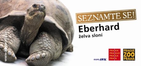 Billboard Seznamte se!, Zdroj: Zoo Praha