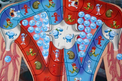 Byl jednou jeden život - plíce Psí, Foto: Dušan Takáč, Topzine.cz