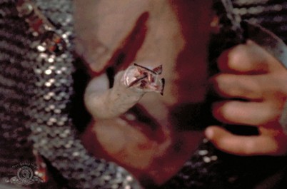 Goa'uldí larva v Jaffském vaku. Zdroj: stargate.mgm.com