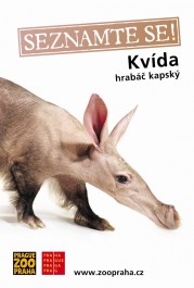 Hrabáč kapský, Zdroj: Zoo Praha