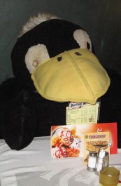 Tučň&aacute;k kam se pod&iacute;v&aacute;te, Foto: Eva M&aacute;cov&aacute;, Topzine.cz