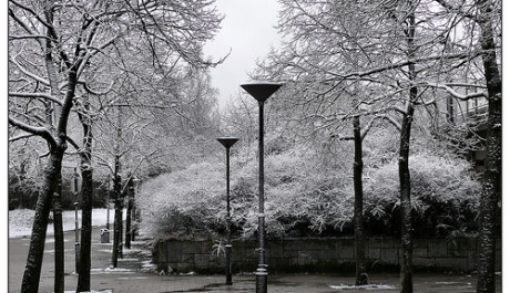 Barvoslepost