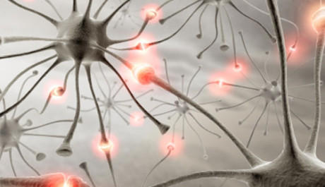 Epilepsie - neurony
