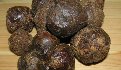 Propolis